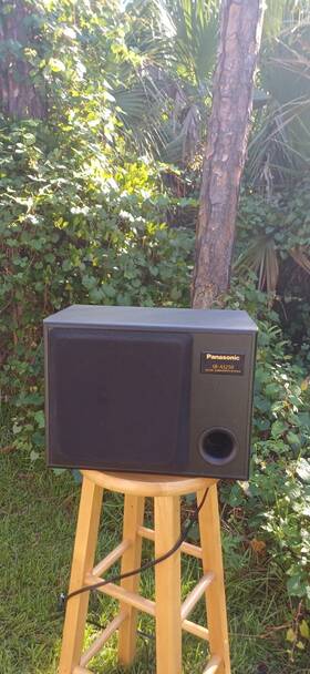 Sb-as250 Technics Panasonic Electronic Subwoofer Speaker System