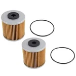 2PK Hydraulic Filter Kit For Bad Boy Mower 063-1060-00 063-1070-00 Outlaw 71943. Fixed Price $67.99.