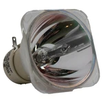 Al Series Lamp (bulb Only) For The Infocus IN2116 Projector - 90 Day Warranty. Fixed Price $39.99.