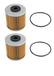 2PK Hydraulic Filter Kit For Bad Boy Mower 063-1060-00 063-1070-00 Outlaw 71943. Fixed Price $29.99.