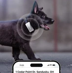 Petcube Gps Location Tracker For Dogs Escape Alerts Water Proof PT1OUS. Fixed Price $39.99.